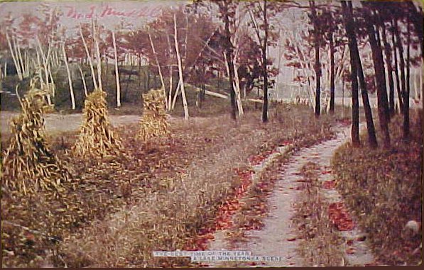 Minnetonka Pic