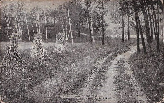 Minnetonka Pic